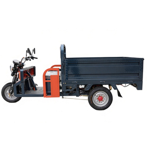 Hete verkoop 1000W vracht driewielige elektrische driewieler voor gebruik op de boerderij elektrische driewieler motorfiets - Product Image 4