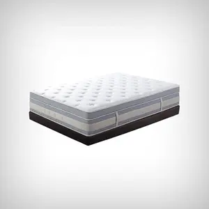 Type mince matelas non compressé de fibre de coco de 5cm 7cm 10cm avec la mousse de HD