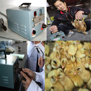 Machine <span class=keywords><strong>de</strong></span> débectage <span class=keywords><strong>de</strong></span> volaille à haute efficacité Coupeur <span class=keywords><strong>de</strong></span> <span class=keywords><strong>bec</strong></span> <span class=keywords><strong>de</strong></span> <span class=keywords><strong>canard</strong></span> <span class=keywords><strong>de</strong></span> poulet enlevant la découpeuse - Product Image 5