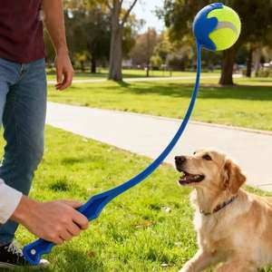 Balle de tennis classique en caoutchouc écologique de 6,3 cm pour chien, jouet interactif à mâcher pour l'exercice et le jeu avec bâton de lancer - Product Image 2