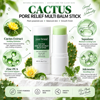 Stick Soin des Pores au Cactus Marque Blanche 20g – Hydratant Apaisant Équilibrant à l'Huile de Squalane, Zinc PCA et Adénosine pour Soin Quotidien du Visage
