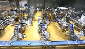 Contacteurs, disjoncteurs, interrupteurs, servomoteurs, variateurs de vitesse, modules HMI 889D-M5FC-<span class=keywords><strong>J5</strong></span> 100% originaux 2026 889DM5FCJ5 - Product Image 6