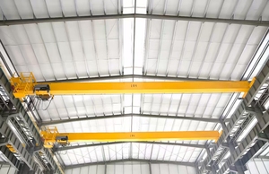 رافعة جسرية أحادية العارضة كهربائية من نوع LX LD HD بحمولة 5 طن، رافعة علوية أحادية العارضة بامتداد 18 متر - Product Image 6