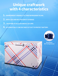 Refrigerador Solar de Color Personalizado con Capacidad de 200L, Espacio de Almacenamiento Amplio, en Color Blanco - Product Image 6
