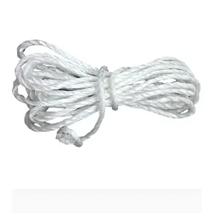 Tali nilon poliester kepang grosir pabrik 3mm tali kepang putih murni