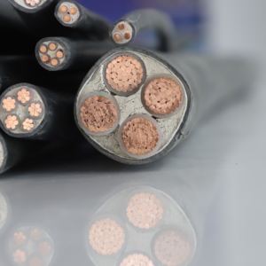 저전압 구리 2/3/4 코어 2.5mm 400mm Xlpe/pvc 절연 전원 케이블 4x4mm ² 구리 코어 PVC 피복 - Product Image 4