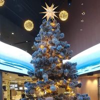Décoration de Noël Étoile de Morovie pour le sommet de l'arbre, Pendentif de Bethléem, Lanterne en papier PVC, Lumière blanche, Décoration intérieure à piles, IP44