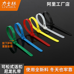 Bridas de nailon reutilizables Lux Logo de colores con cierre a presión, fuertes y resistentes para el gestión de cables de red. - Product Image 4
