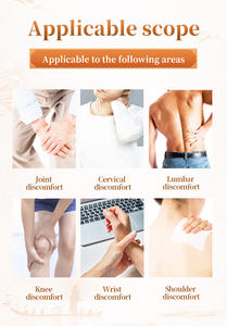 Vente de gros Douleurs dorsales Arthrite articulation genou Douleur de tigre Crème - Product Image 3