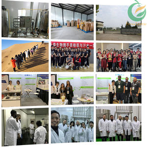 Fruiterco Phellinusリンテウスエキス粉末<span class=keywords><strong>Sang</strong></span> <span class=keywords><strong>Hwang</strong></span> Phellinusリンテウスエキス - Product Image 5