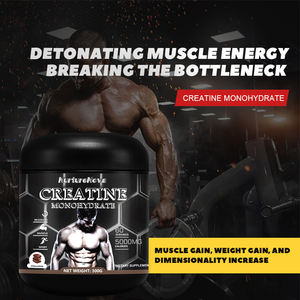 Suplemento Alimenticio de Creatina en Polvo para Nutrición Deportiva de Marca Privada OEM, Aminoácidos, Zinc y Magnesio para Velocidad y Fuerza - Product Image 4