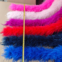 Boa de plumes d'autruche luxueux 10-15cm 6 plis, motifs naturels teints, Afrique du Sud, pour mariages, décorations de fête, vente en gros