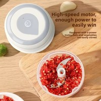 Mini broyeur électrique portable sans fil USB 250ml Robot culinaire intelligent Hachoir pour Vetables Hachoir à viande et à ail Broyeur d'oignons