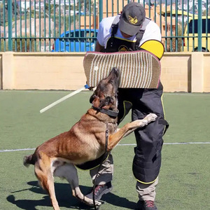 Hot Sale Behendigheidstraining Instant Perfecte <span class=keywords><strong>Trainer</strong></span> Hond Bite Mouw Grote Hondentraining Huisdier Training Fladdermouw - Product Image 5