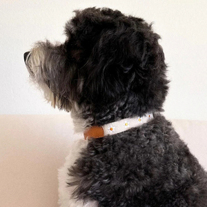 <span class=keywords><strong>Collar</strong></span> de perro personalizado con nombre grabado con láser <span class=keywords><strong>Collar</strong></span> de mascota duradero para seguridad y estilo - Product Image 6