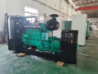 Pembangkit Listrik Kogenerasi Biomassa Metanol BS Power 420kw Pendingin Air Starter Elektrik