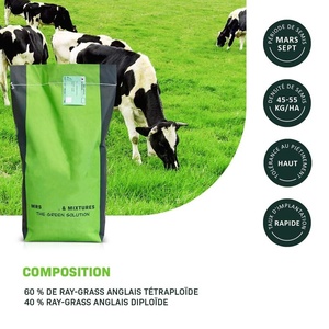 Plante vivace ray grass 15 kg prairie herbe jardin truie sac plante Kit herbe truies pâturage intensif foin fourrage planteurs pour sol en utilisant - Product Image 3