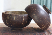 Ensemble de bols cuillères en bois naturel décoratifs pour la cuisine, bols à smoothie et à salade, bol en coquille de noix de coco