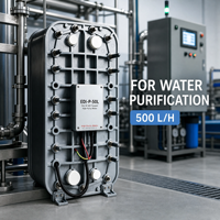 Module d'électrodéionisation EDI 500L/H, machine de traitement d'eau ultrapure, installation facile pour l'électronique et les semi-conducteurs