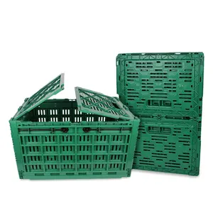 塑料折叠储物盒折叠果蔬通风可折叠板条箱可回收
