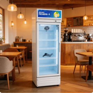 <span class=keywords><strong>Congélateur</strong></span> <span class=keywords><strong>vertical</strong></span> à porte vitrée, écoénergétique, pour magasin de boissons - Product Image 3