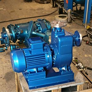 Pompe auto-amorçante de surpression d'eau du robinet à grand débit et haute pression pour usage domestique, eau propre de qualité supérieure - Product Image 1