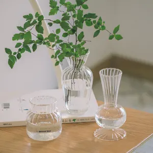 Sıcak satış el üflemeli büyük cam vazo uzun borosilikat cam çiçek vazo