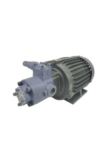 ปั๊มเกียร์สแตนเลสแบบพกพา220V ความเร็วคงที่ปั๊มน้ำ<span class=keywords><strong>มัน</strong></span>เกียร์ - Product Image 5