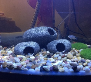 Esferas <span class=keywords><strong>de</strong></span> Cría para Peces y Camarones, Rocas <span class=keywords><strong>de</strong></span> Cerámica, Refugio <span class=keywords><strong>de</strong></span> <span class=keywords><strong>Piedra</strong></span> para Cíclidos, Cueva, Adorno para Peceras, Estanques, Decoración <span class=keywords><strong>de</strong></span> Acuarios - Product Image 2