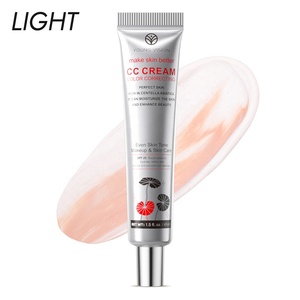 YOUNG VISION Air Cushion BB Cream Natural Primer Centella Asiatica 45ml <span class=keywords><strong>Base</strong></span> de maquillaje facial hidratante con protección solar 2 colores - Product Image 1