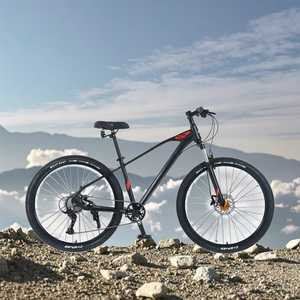 12-Tốc Độ 29/27.5 MTB Xe Đạp Leo Núi Cho Người Lớn Với Dầu Đĩa Phanh & Bình Thường Đạp Nhôm Hợp Kim Ngã Ba OEM & ODM Có Sẵn - Product Image 5