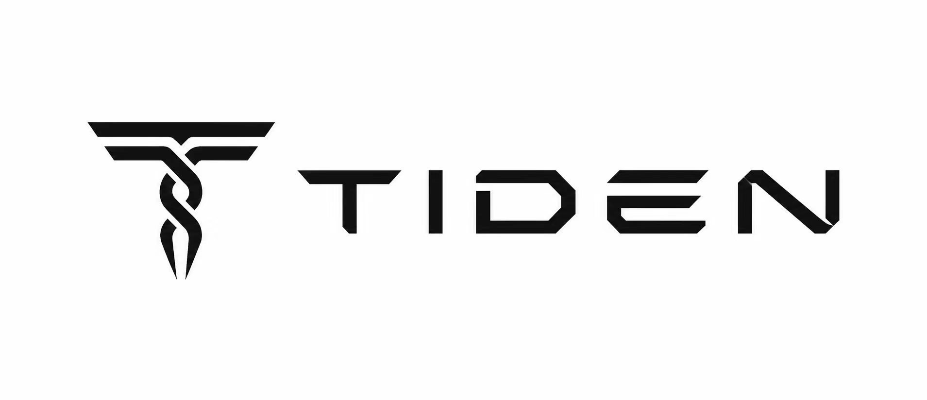 Shenzhen Tiden Technology Co., Ltd. logo