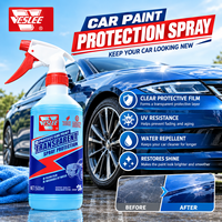 Spray de protection de peinture automobile hydrophobe, hydrofuge, haute brillance, pour l'entretien et le detailing automobile