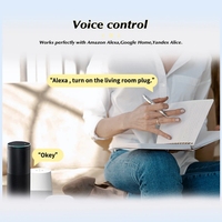 Prise intelligente EU 16A avec logo personnalisé, WiFi/ZigBee, Alexa, Google, Tuya, fonction de surveillance de la consommation d'énergie et minuterie