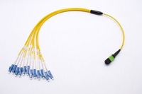 Kabel Serat Optik Trunk MPO Patch Cord 12 24 Core MTP Harga Pabrik Hongsheng, Mendukung Panjang Kustom OEM ODM