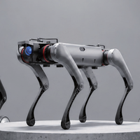 Robot chien quadrupède industriel pour l'inspection, le sauvetage, la sécurité et la recherche D30