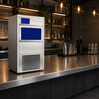 Machine à glaçons Snowflake 50 kg/jour, haute efficacité, automatique, pour bar, hôtel, restaurant