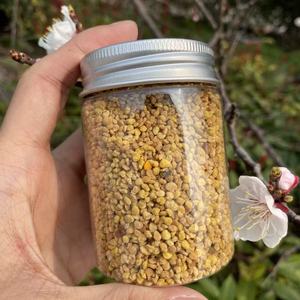 Polline d'Api di Grano Saraceno Nuova Stagione di Alta Qualità per Apicoltura e Consumo Umano - Product Image 2
