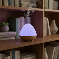 Diffuseur d'huiles essentielles électrique ultrasonique pour aromathérapie, humidificateur d'ambiance pour maison, hôtel, bureau, spa