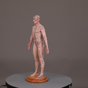 55cm Corps Points D'<span class=keywords><strong>acupuncture</strong></span> Chinois Silicone Acupoints Modèle Humain Grande Base Point Fixe Conception Modèle D'<span class=keywords><strong>acupuncture</strong></span> - Product Image 6