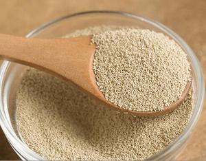 Chất lượng cao giá tốt gói khác nhau kích thước Men khô ngay lập tức cho bánh mì - Product Image 4