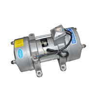 Vibrateur à Plaque Plat 0,75 kW 1,5 kW 2,2 kW 3 kW Type ZW