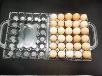 Barquettes à œufs en plastique transparent bon marché, boîte à œufs, barquette à œufs en plastique avec poignée