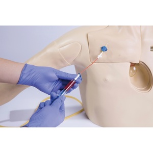 Simulador de cateterización venosa <span class=keywords><strong>central</strong></span>, simulación médica realista, este simulador ofrece un método rentable - Product Image 5