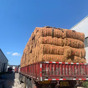 Couverture en fibres <span class=keywords><strong>de</strong></span> coco naturelles sans <span class=keywords><strong>graines</strong></span> d'herbe |   <span class=keywords><strong>Tapis</strong></span> anti-érosion UV pour la protection des pentes et des rivières - Product Image 5