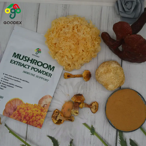 Оптовая цена, бестселлер, экстракт 12 в 1, порошок Рейши, львы, грива, Чага, кордицепс, Устрица, тремела - Product Image 3