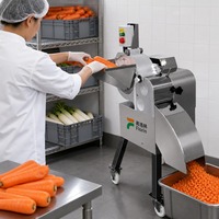 Hoge snelheid snijmachine voor groenten, fruit en vlees; geschikt voor het snijden van aardappel, wortel, mango, bevroren rundvlees en varkensvlees in blokjes.