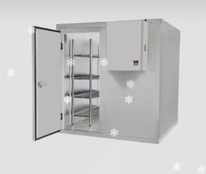 Energy Save Walk Refrigerator Cold fish freezer Room Manufacturer
