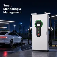 Estación de Carga Rápida para Vehículos Eléctricos de 40kW 60kW 80kW 120kW 160kW CC, OCPP CCS2 GBT IP54, Montada en el Suelo, Comercial
