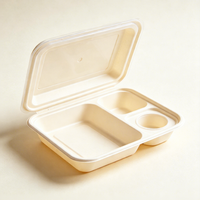 Boîte à lunch en plastique multi-compartiments de qualité alimentaire, conteneur alimentaire à emporter thermoformé, moule personnalisé pour la restauration et les cantines